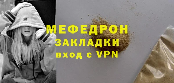 мдпв Бородино