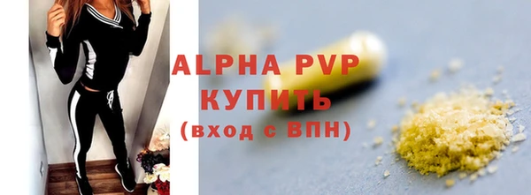 мдпв Бородино