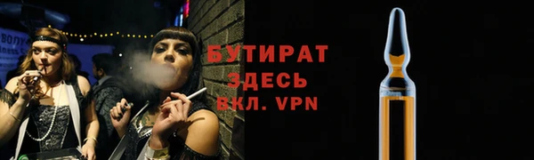 мдпв Бородино