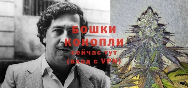 мдпв Бородино