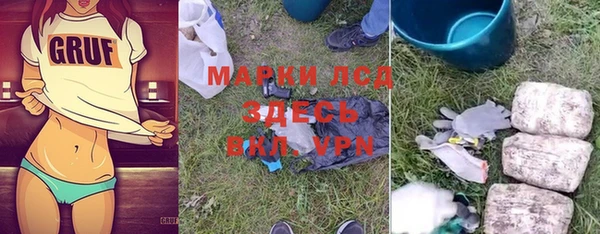 мдпв Бородино