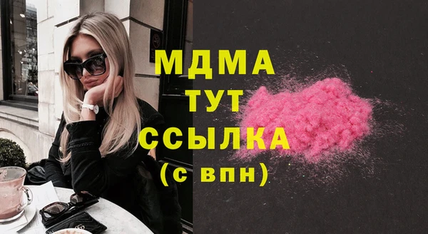 мдпв Бородино