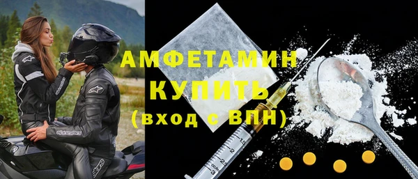 мдпв Бородино