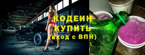мдпв Бородино