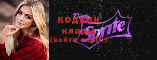 мдпв Бородино
