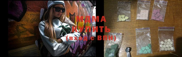 индика Тавда