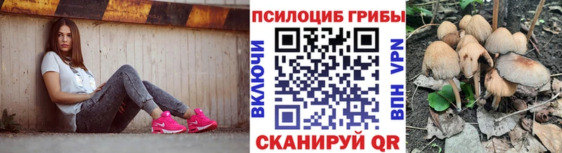 Галлюциногенные грибы Magic Shrooms Хабаровск